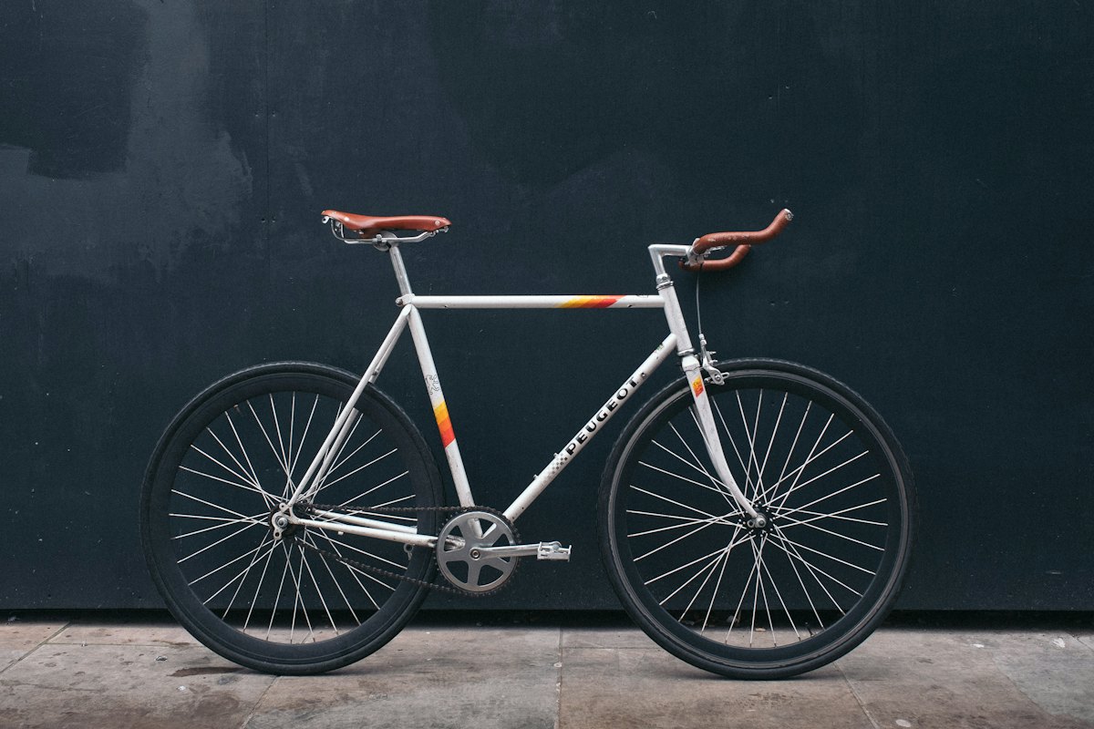 Fox giar cycle